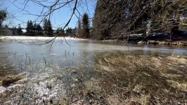 Çimlerle ve ağaçlarla çevrili kısmen donmuş bir göletin sergilendiği güzel, sakin bir kış manzarası.