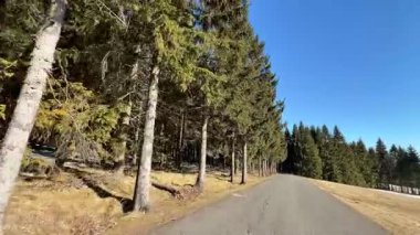 Huzurlu, sakin bir yol, yukarıdaki parlak mavi gökyüzünün altında uzanan, her daim yeşil ağaçların arasında dolanıyor.