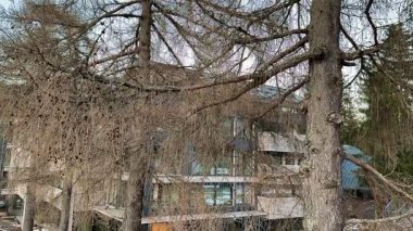 Nefes kesici güzellikte, modern bir yapı, barışçıl bir ortamda doğal elementlerin yanına yerleştirildiğinde göze çarpar.