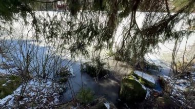 Huzurlu bir kış sahnesi sergilenen yumuşak kar, titreyen su ve dingin donmuş gölün yakınındaki canlı yeşillik.