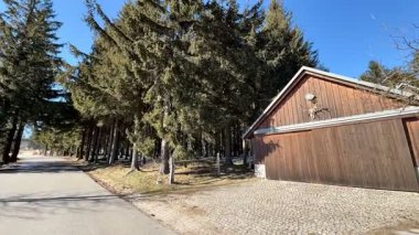 Güzel, sakin bir patika ağaçların arasında dolanıyor ve sonunda büyüleyici bir ahşap kulübeye çıkıyor.