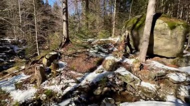 Huzurlu ve sakin bir kış manzarası görkemli çam ağaçlarının eşlik ettiği büyük granit kayaları sergiliyor.