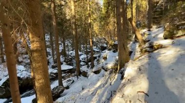 Güzel ve sakin bir kış sahnesi karla kaplı kayaları sergiliyor. Sakin bir ormanda ağaçlarla birlikte.