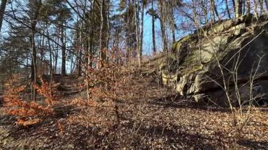 Berrak mavi gökyüzünün altında yemyeşil ağaçlar ve kuru yapraklarla çevrili yüksek bir kaya oluşumunun çarpıcı bir görüntüsü.
