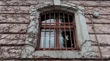 Sarmaşıklarla ve sağlam parmaklıklarla süslenmiş eski bir pencere kentsel bozulmanın ve ihmalkarlığın özünü gözler önüne seriyor.