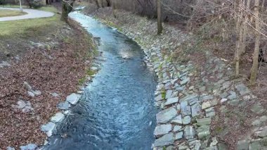 Huzurlu bir su yolu zarif bir şekilde hareketli ağaçlar ve taşlarla çevrili huzurlu bir sonbahar manzarasında dolaşır.