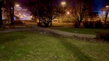 Yumuşak, sıcak ışıkla aydınlatılmış ağaçlarla ve patikalarla dolu güzel bir parkın huzurlu bir gece manzarasını hayal edin.