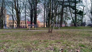 Bankların, yemyeşil ağaçların ve arka planda bir binanın ipuçlarının olduğu sakin ve sakin bir park sahnesi.