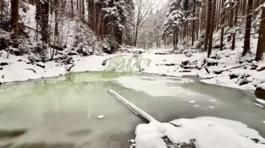 Huzurlu bir kış sahnesi. Huzurlu bir ormanda karla kaplı ağaçlarla çevrili donmuş bir dere..