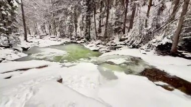 Karlı bir ormanda şelalesi olan donmuş dağ nehri. Yüksek kalite 4k görüntü
