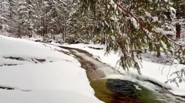 Huzurlu ve sakin bir nehir zarif bir şekilde karla kaplı bir ormanın içinden akar. Güzelce sergilenen kışlar sakindir.