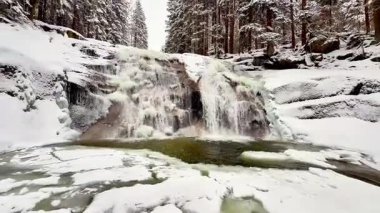 Huzurlu, huzurlu, karla kaplı bir orman manzarasında nefes kesen dondurucu bir şelale.