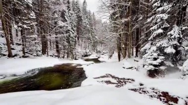 Güzel, sakin bir kış manzarası. Karla kaplı bir ormanın yanında hafif bir akıntı.
