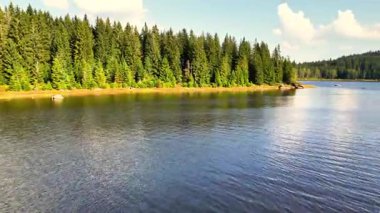 Berrak bir gökyüzünün altında yemyeşil çam ağaçlarıyla çevrili güzel bir gölün şaşırtıcı derecede sakin manzarası.