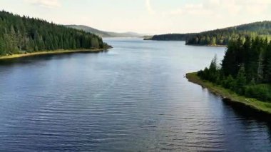 Canlı yeşil ağaçlarla çevrili sakin bir göl manzarası doğanın özünü yakalıyor.