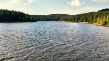 Arka planda yemyeşil sularla tamamlanmış berrak ve sakin bir nehir manzarası.