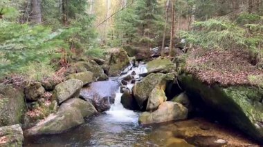 Bereketli yeşil ormandaki kayaların üzerinde zarifçe çağlayan bir akarsuyun huzurlu ve resimsel görüntüsü.