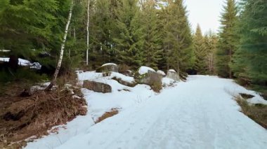 Güzel, sakin bir kış sahnesi, yemyeşil ağaçların arasından süzülen karla kaplı büyüleyici bir patikayı tasvir eder.