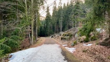 Etrafı ağaçlar ve kayalarla çevrili huzurlu bir orman patikası keşfet. Rahatlamak ve eğlenmek için mükemmel.