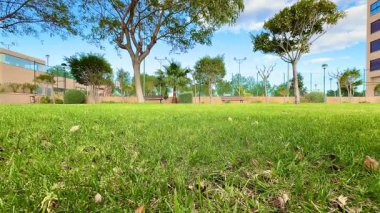 Parlak yeşil çimenler, yemyeşil ağaçlar ve açık mavi gökyüzünün altında davetkar banklar gösteren güzel bir park manzarası.