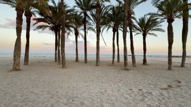 Gün batımında kumlu bir sahilde sallanan palmiye ağaçlarının huzurlu güzelliğine dalın ve kendinizi keşfedin.