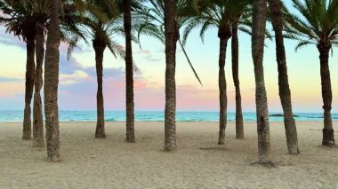Sakin ve sakin bir sahil sahnesi sallanan palmiye ağaçları canlı ve renkli bir günbatımına karşı sergileniyor.