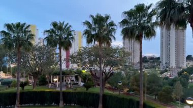 Şehrin yüksek mevkilerine karşı çarpıcı bir palmiye manzarası, doğayı kentsel tasarımla kusursuz bir şekilde harmanlıyor.