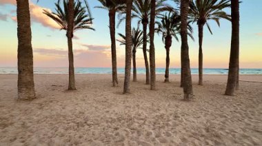 Parlak ve renkli bir günbatımına karşı güzel siluetlerle süslenmiş uzun palmiye ağaçlarının olduğu çarpıcı bir sahil sahnesi.