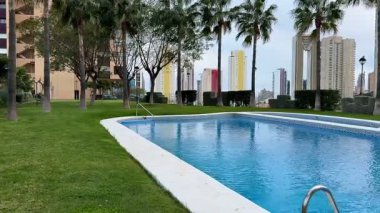 Sakin bir yüzme havuzu, arka planda şehir binaları olan palmiye ağaçları ile güzelce çevrilidir.