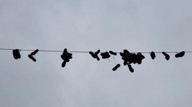 Yaratıcı ve sanatsal bir spor ayakkabısı bulutlu ve dramatik gökyüzünün ortasındaki bir elektrik hattından sarkıyor.