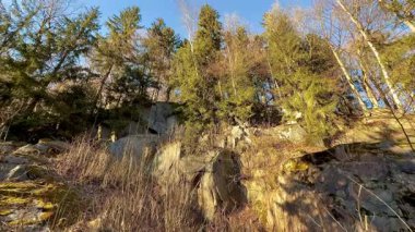 Göz kamaştırıcı bir manzara, açık mavi gökyüzüne karşı dizilmiş yoğun ağaçlarla birlikte kayalık araziyi gösteriyor.