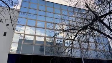 Yansıtıcı bir cam cephe, ağaç dalları tarafından çerçevelenmiş gökyüzünü yansıtıyor, modern mimariyi güzelce sergiliyor.