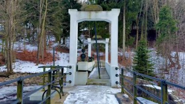 Resmedilmeye değer karlı bir orman manzarasının ortasına kurulmuş eşsiz bir köprünün huzurlu ve huzurlu bir görüntüsü.