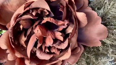 Güzel kahverengi bir çiçeğin göz kamaştırıcı bir görüntüsü doğa projeleri ve zarif çiçek düzenlemeleri için mükemmel.