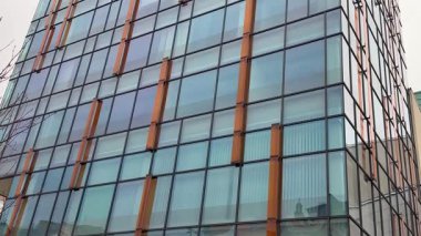 Bu tasarım zarif bir şekilde canlı cam ve şık ahşap kirişlerle karakterize edilmiş çağdaş bir estetiği sergiliyor.