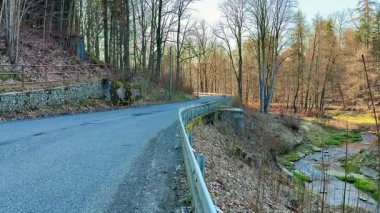 Şaşırtıcı derecede güzel bir manzara, zarif bir şekilde uzun, gür ağaçlarla çevrili dolambaçlı bir yola ve yakınlarda nazik bir akıntıya sahiptir.