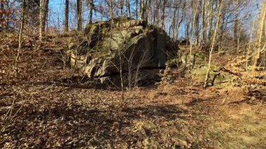 Huzurlu, sakin bir manzara. Büyük bir kaya oluşumunu sergiliyor. Huzurlu bir ormanlık alana kurulmuş.