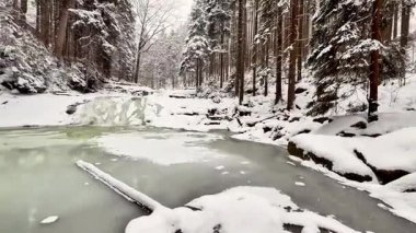 Sakin bir kış sahnesinde karla kaplı ağaçlar ve donmuş bir nehir, huzur ve sükunet hissi uyandırıyor.