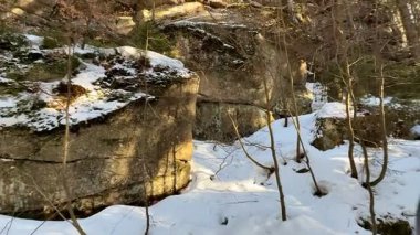 Huzurlu bir kış manzarası. Huzurlu bir ormanda karla kaplı kayalar ve ağaçlar.