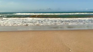 Sersemletici manzara, berrak mavi bir gökyüzünün altındaki kumlu kumsalda durmaksızın süzülen nazik okyanus dalgalarını yansıtıyor.