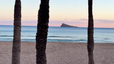 Uzun palmiye ağaçları tarafından çerçevelenmiş sakin bir sahil manzarası. Gün batımında büyüleyici güzellikler sergiliyor.