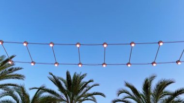 Güzel, dingin, gösterişli palmiye ağaçları. İp ışıklarıyla süslenmiş, berrak mavi gökyüzüne kurulmuş.