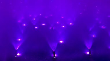 Canlı su jetleri ve sis efektlerinin çarpıcı bir görüntüsü herkesi büyüleyen büyüleyici bir ortam yaratıyor.