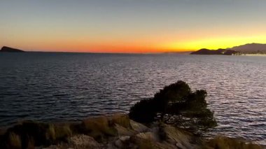 Ağaçlar ve şehir ışıklarıyla çerçevelenmiş denizin üzerinde çarpıcı bir günbatımı huzurlu bir huzur hissi yayar.