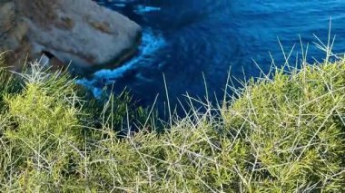 Kayalık kayalıkları, canlı mavi suları, yemyeşil suları ve sakin manzarası olan pitoresk bir kıyı manzarası.