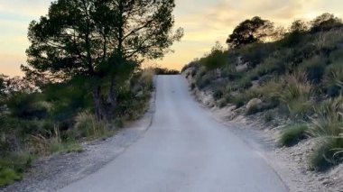 Gün batımında doğayla güzel bir şekilde çevrili, yokuş yukarı uzanan sakin bir yol hayal edin.