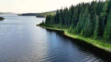 Canlı yeşil ağaçlarla çevrili sakin bir göl manzarası doğanın özünü yakalıyor.