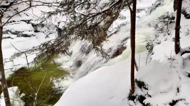 Ormanda donmuş şelale. Yüksek kalite 4k görüntü