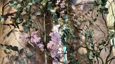 Göz kamaştırıcı bir orkide gösterisi ve yemyeşil, güzelce birbirine dolanmış, zarif bir dekorasyon için mükemmel.