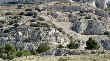 Berrak mavi gökyüzünün altındaki dingin tepelerdeki nefes kesici kayalık arazileri ve canlı yemyeşil bitkileri keşfedin.